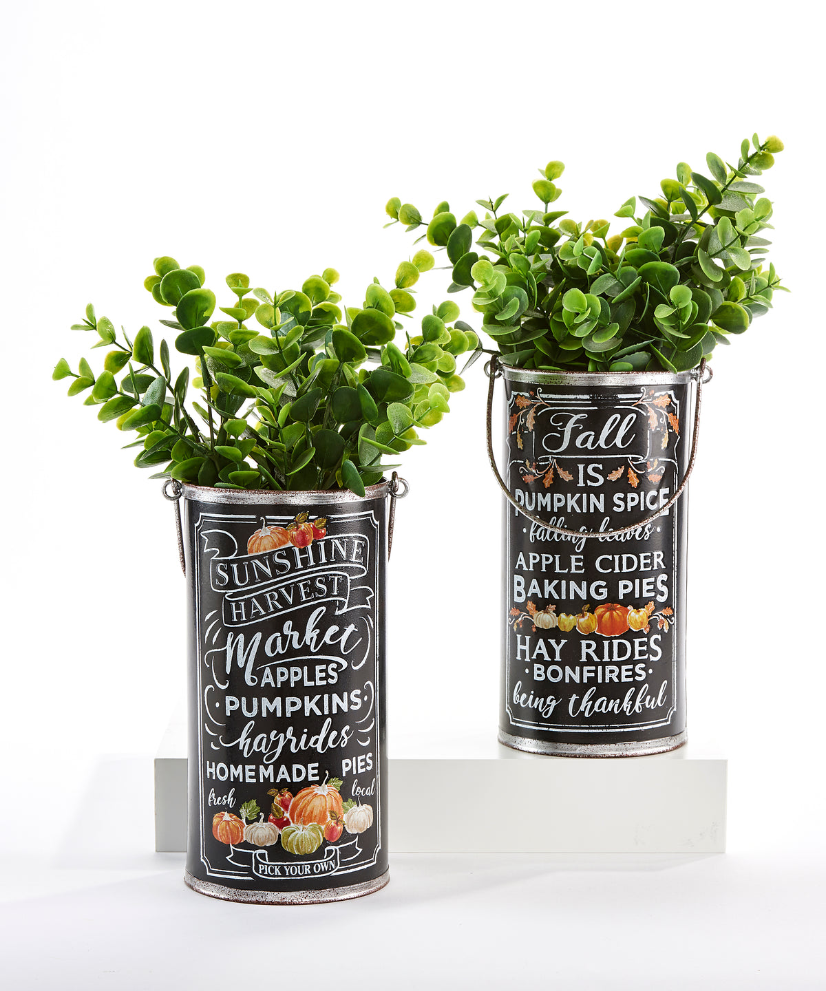 Metal Harvest Bucket