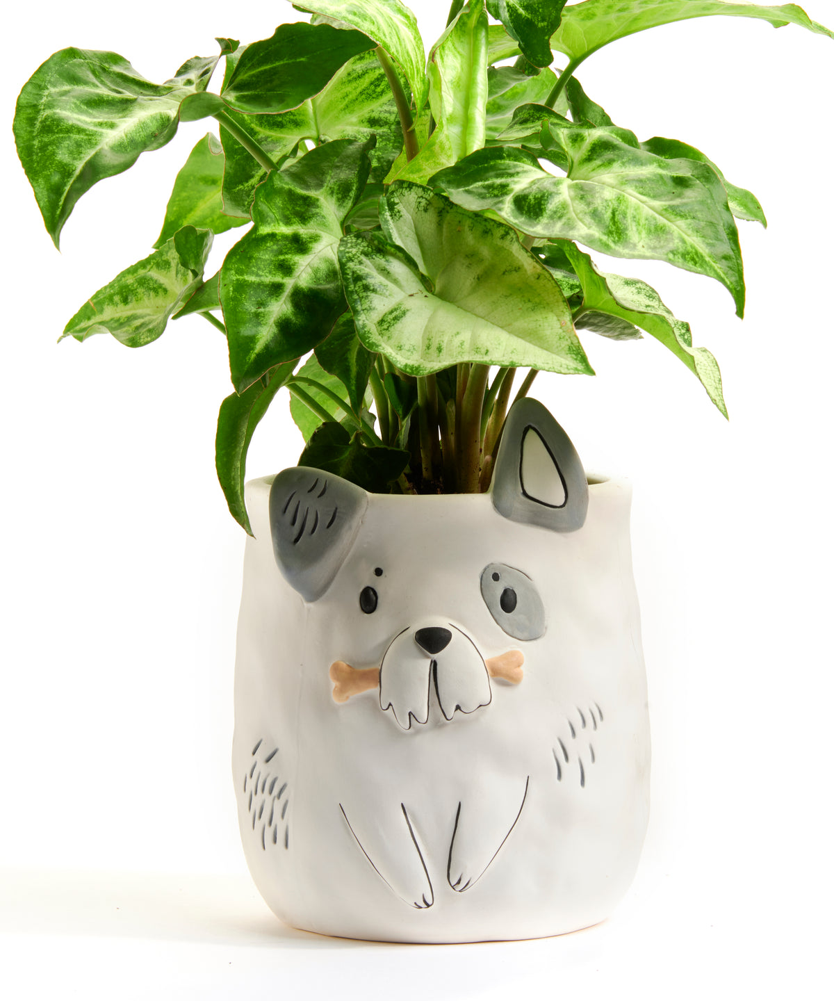 Ceramic Animal Shaped Planter