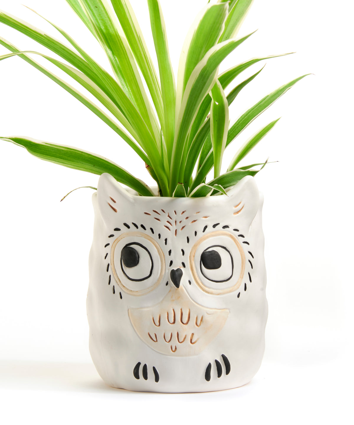 Ceramic Animal Shaped Planter