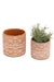 Aztec Cement Planter