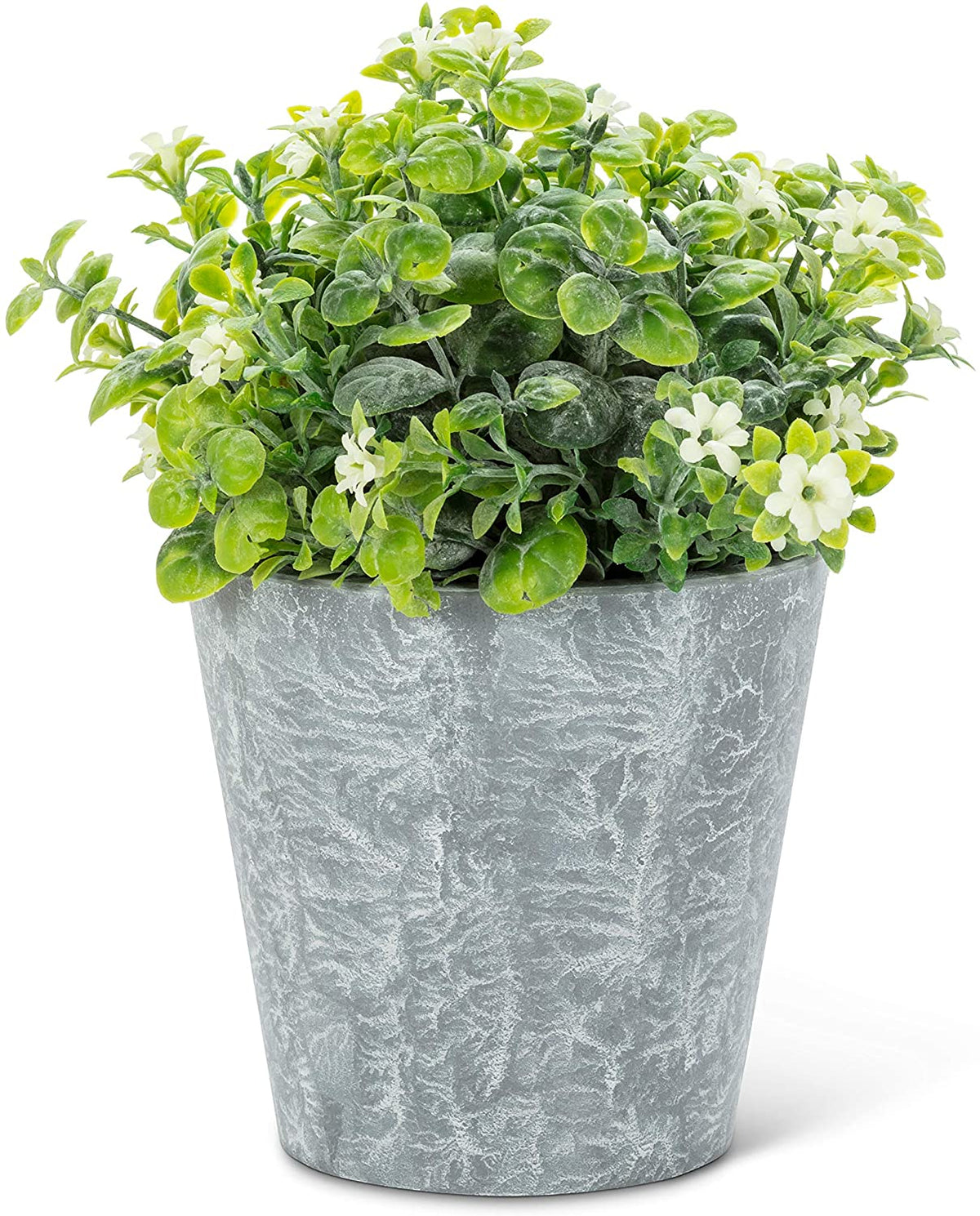 White Flowering Plant Pot