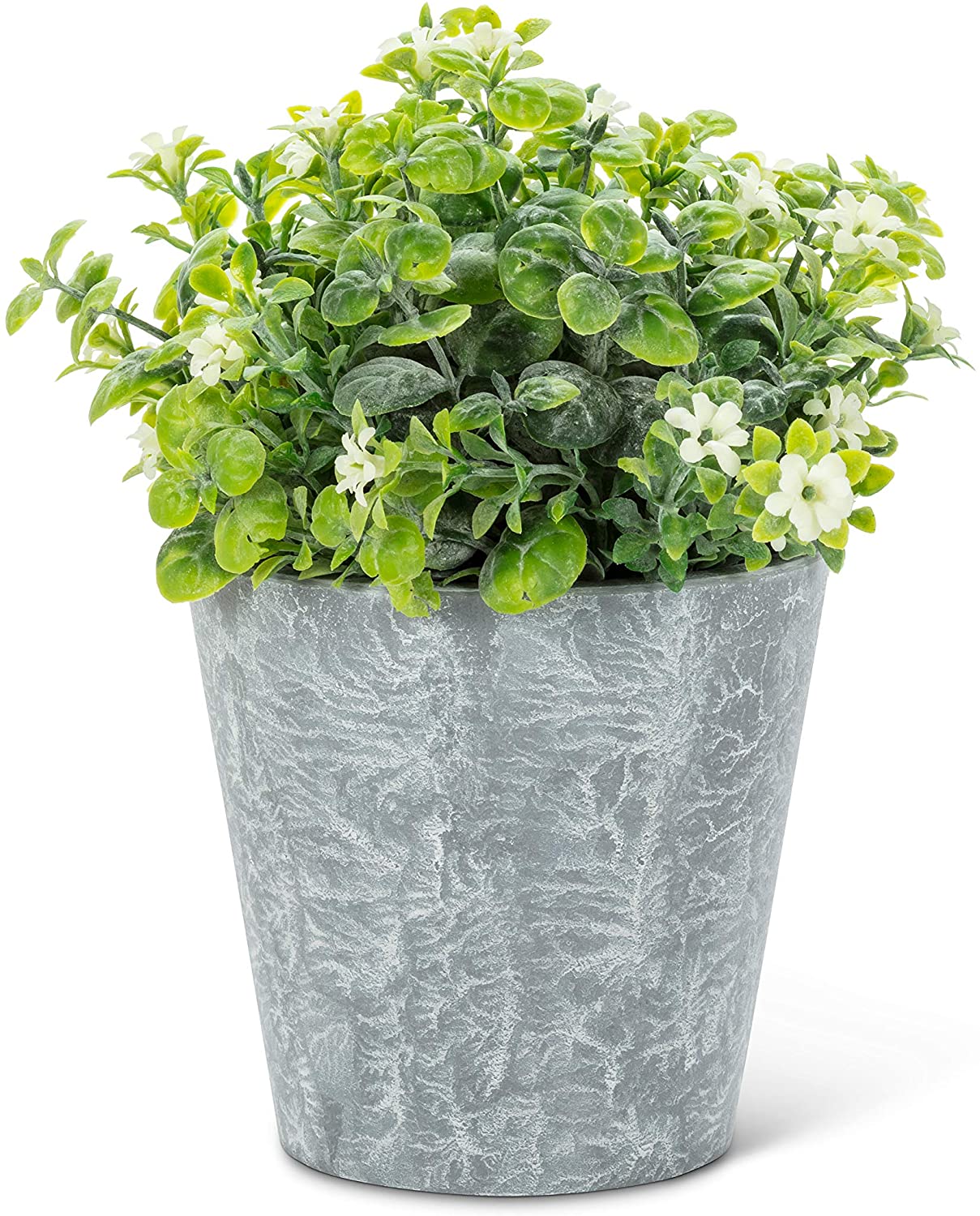 White Flowering Plant Pot