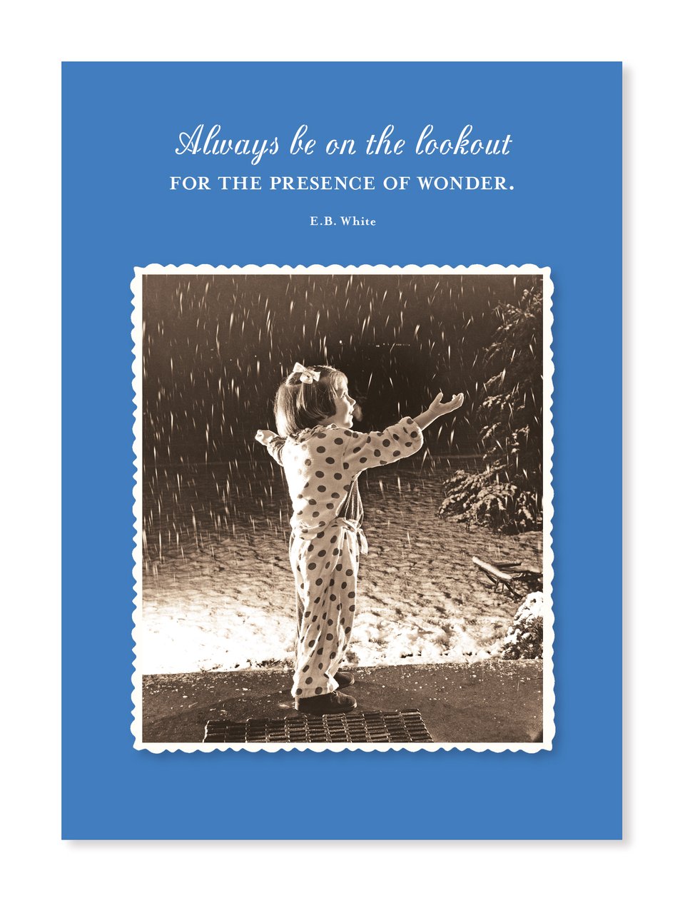 Shannon Martin Holiday Greeting Cards