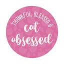 Absorbent Ceramic Car Coaster