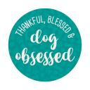 Absorbent Ceramic Car Coaster