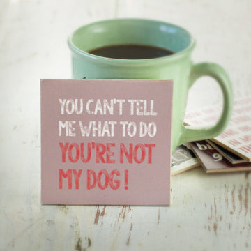 Cedar Mountain Magnet