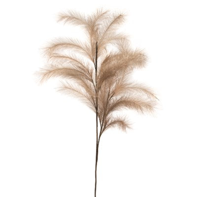 Feather Reed Spray