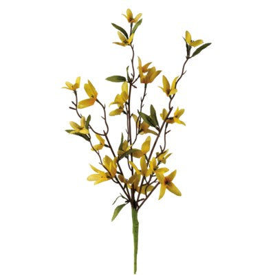 Forsythia Pick