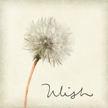 Cedar Mountain Marble Coaster