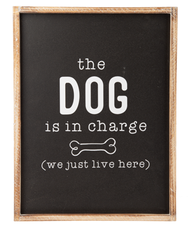 Dog is in charge print