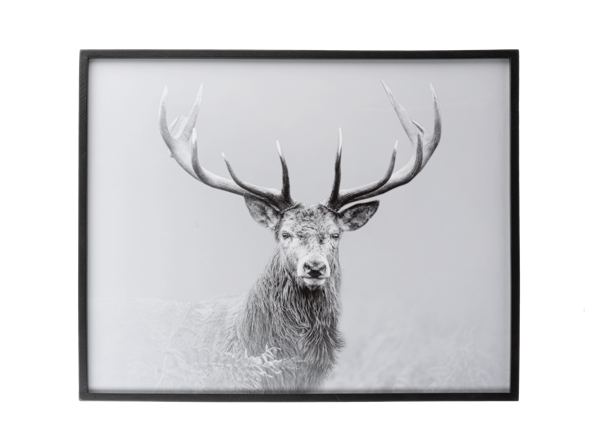 Stag Head Wall Art