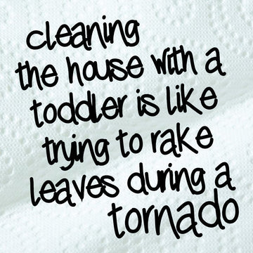 Cedar Mountain Magnet