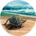 Absorbent Ceramic Car Coaster