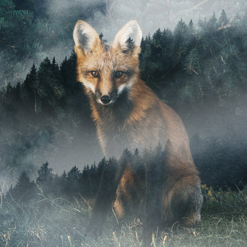 Cedar Mountain Marble Coaster