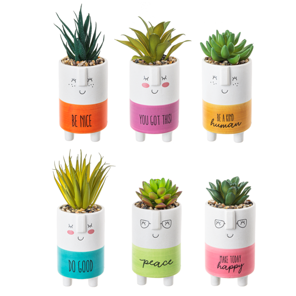 Kindness Pot w/Plant
