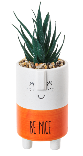 Kindness Pot w/Plant