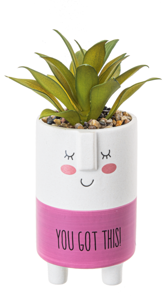 Kindness Pot w/Plant