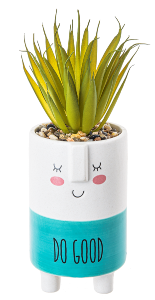 Kindness Pot w/Plant