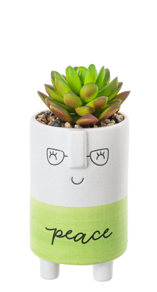 Kindness Pot w/Plant
