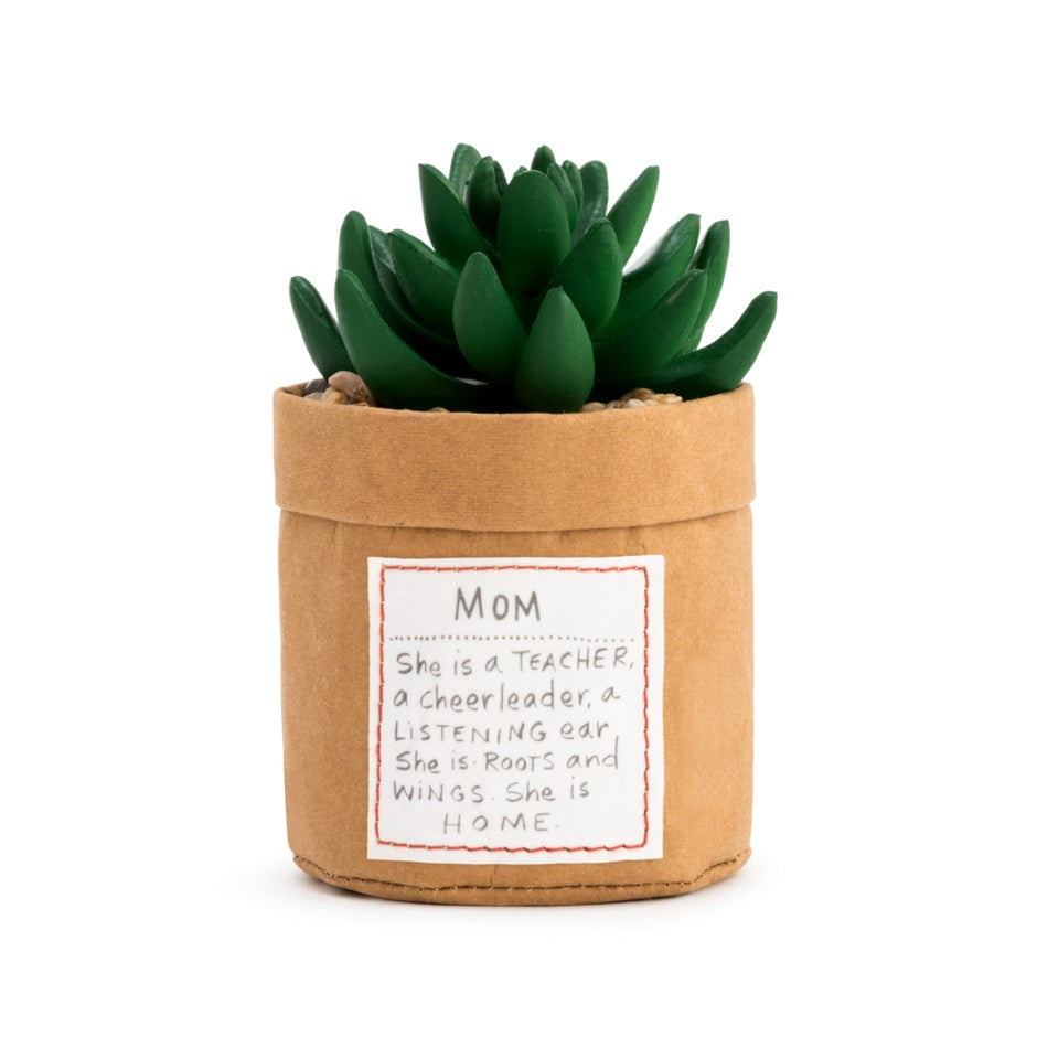 Plant Kindness Succulent