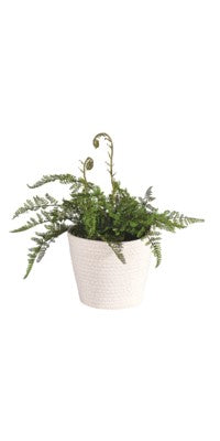 Single White Cloth Basket